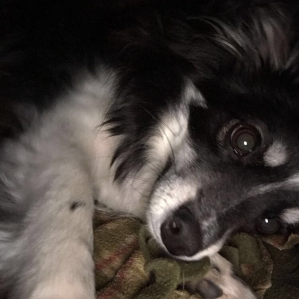 Meet your Posher, Chloe